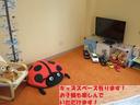 キッズスペースも御座いますので、小さなお子様もDVDを見ながら退屈なくお遊び頂けます!