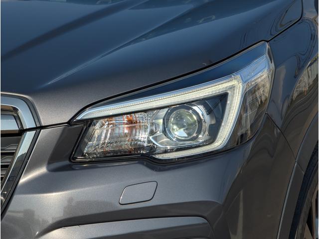 フォレスター X-Edition EyeSight搭載車(3枚目)