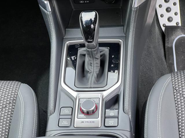 フォレスター アドバンス(17枚目)