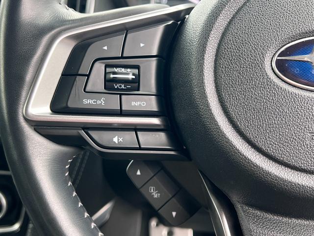 フォレスター アドバンス(37枚目)