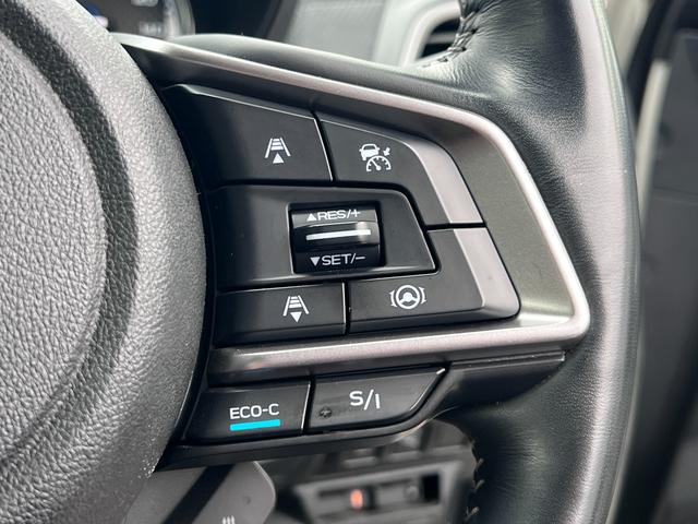 フォレスター アドバンス(38枚目)