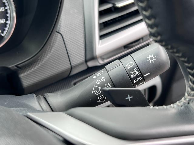 フォレスター アドバンス(39枚目)