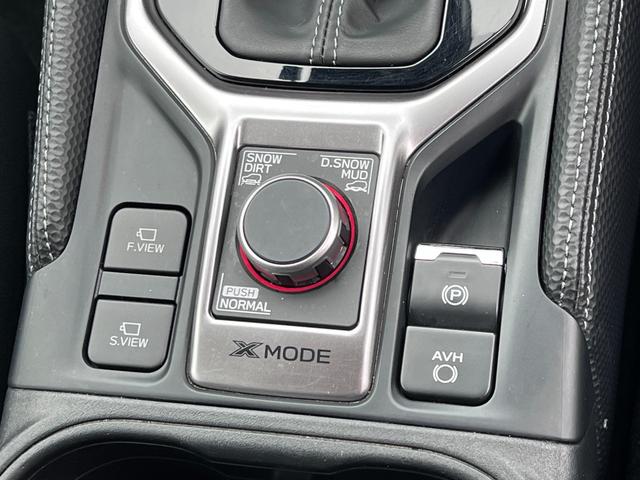 フォレスター アドバンス(41枚目)