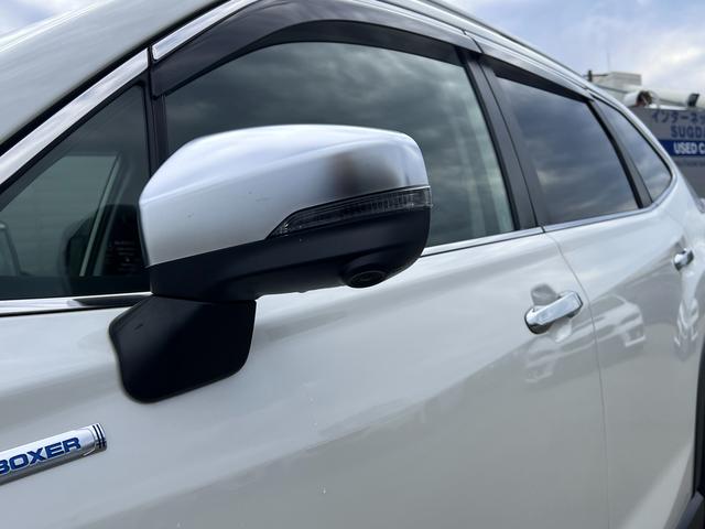 フォレスター アドバンス(9枚目)