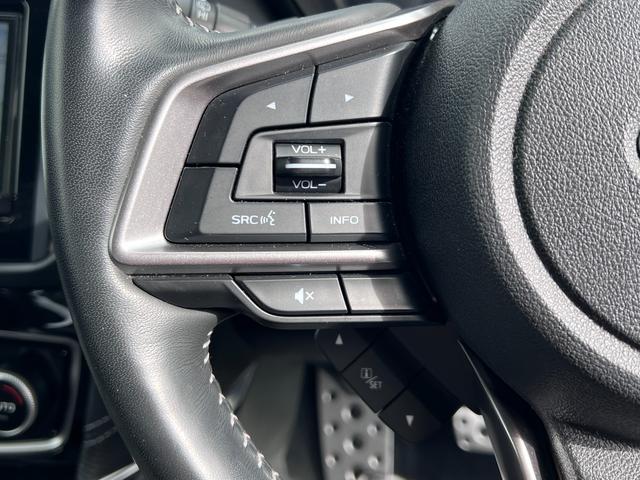 フォレスター アドバンス(39枚目)