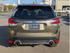 ڣӣգ£ңդ󤷤ݾڥ󥰡ۥ꡼ʥ֥ǡ˺ĹǯޤǱĹǤ֣ӣգ£ңդ󤷤ݾڥ󥰡פ⤴ѰդƤޤ 5