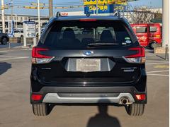 ڣӣգ£ңդ󤷤ݾڥ󥰡ۥ꡼ʥ֥ǡ˺ĹǯޤǱĹǤ֣ӣգ£ңդ󤷤ݾڥ󥰡פ⤴ѰդƤޤ 5