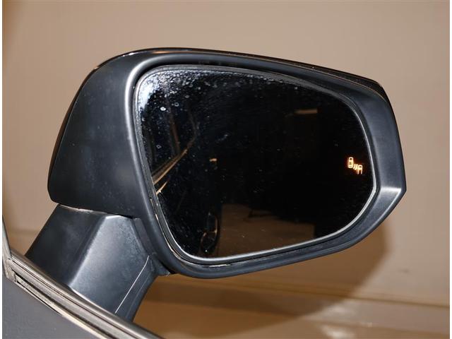 RAV4 PHV ブラックトーン LEDランプ サンルーフ 100V電源 4WD ETC パワーシート 盗難防止装置 ドラレコ ミュージックプレイヤー接続可 バックカメラ クルーズコントロール ABS キーレス メモリーナビ 記録簿(19枚目)