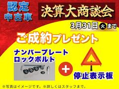 �������ӡ� �ȣ٣£ңɣġ��ͣ� 3000149A20260118S005 2