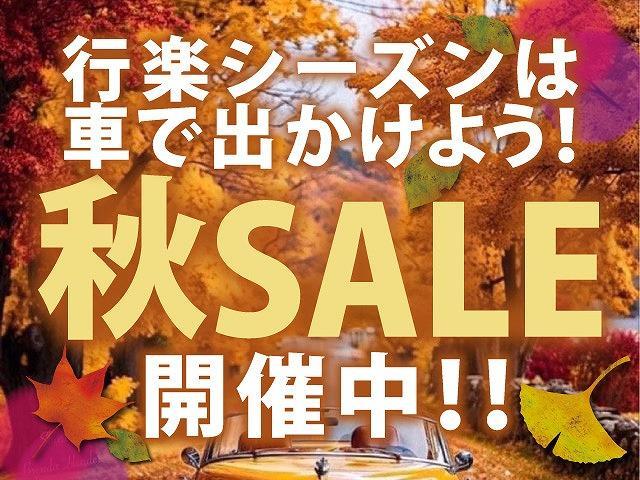 人気車や低価格車はすぐになくなる可能性があります。