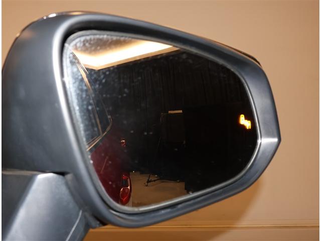 RAV4 PHV ブラックトーン LEDランプ サンルーフ 100V電源 4WD ETC パワーシート 盗難防止装置 ドラレコ ミュージックプレイヤー接続可 バックカメラ クルーズコントロール ABS キーレス メモリーナビ 記録簿(19枚目)