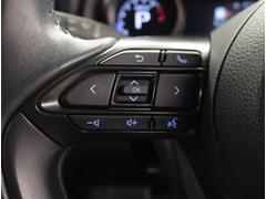 ��ꥹ������ �ǡ��ţԣ���������䥫��顡������Ͽ�������ޡ��ȥ���ȥ꡼ 3000228A20260120T001 7