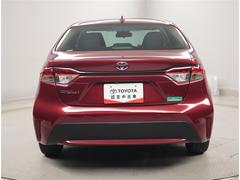 �������� �ǡ����롼������ȥ����롡�����ﳲ�ڸ��֥졼�����ʥӡ��ԣ֡������쥹 3000233A20260331T001 2