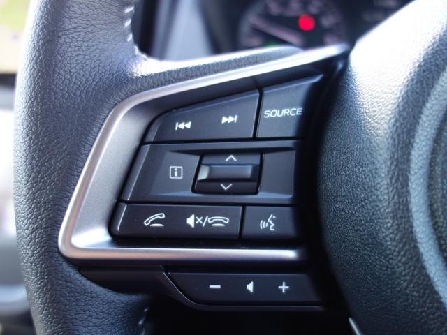クロストレック Ｔｏｕｒｉｎｇ　ナビ　Ｒカメラ　ＥＴＣ　ドラレコ　ナビゲーション　Ｒカメラ　ＥＴＣ　ドライブレコーダー　障害物センサー　フロント＆リヤフォグランプ　ドアバイザー　カーゴステップパネル（樹脂製）　パワーシート　シートヒーター　アイサイト（29枚目）