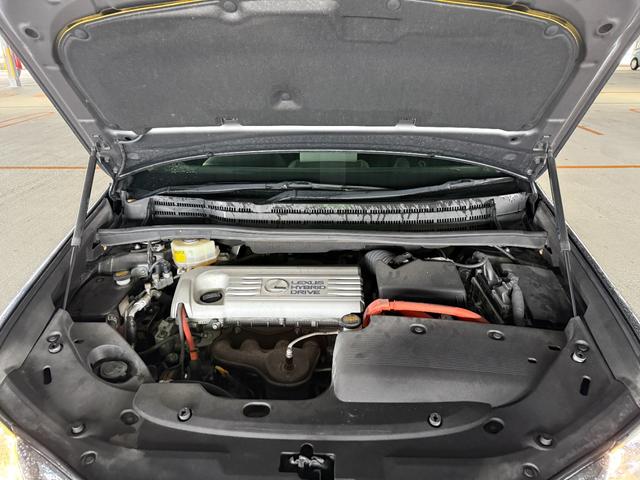 ���ʂȃv���������p�ӂ������܂��B���C�y�ɂ��₢���킹���������B