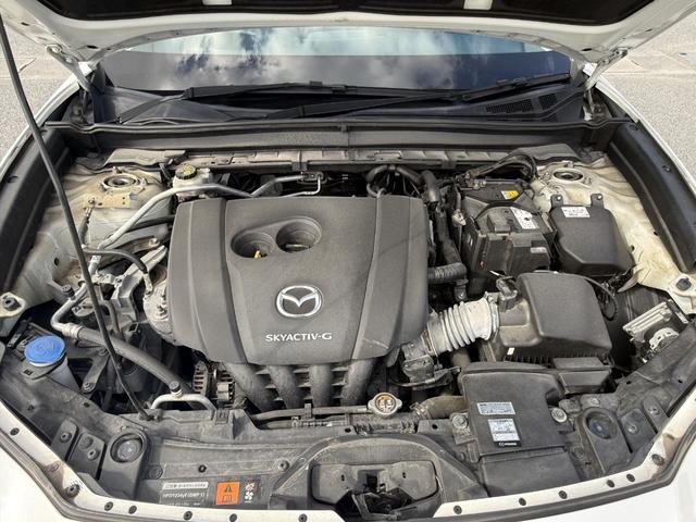 ���ʂȃv���������p�ӂ������܂��B���C�y�ɂ��₢���킹���������B