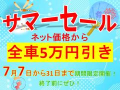  ӡ¥˥ޡȥڥꡡưǼߥ顼 3000333A30250528W001 2