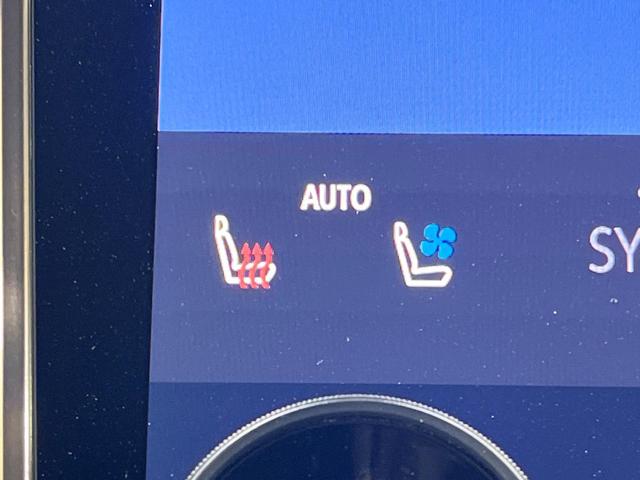 アルファード Z 禁煙車 ムーンルーフ 後席モニター 純正14型ナビ 全周囲カメラ フルセグ 両側電動スライド チームメイト ブラインドスポットモニター デジタルインナーミラー 電動リアゲート 純正18インチアルミ(63枚目)