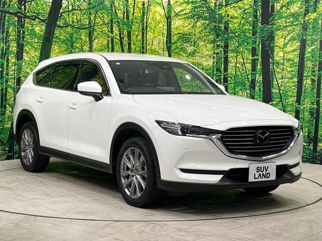 ＣＸ－８ ２５Ｓ　プロアクティブ　禁煙車　純正１０型ナビ　全周囲カメラ　レーダークルーズ　ブラインドスポットモニター　６人乗り　電動リアゲート　コーナーセンサー　メモリーシート　シートヒーター　ＬＥＤヘッド　ＥＴＣ（18枚目）