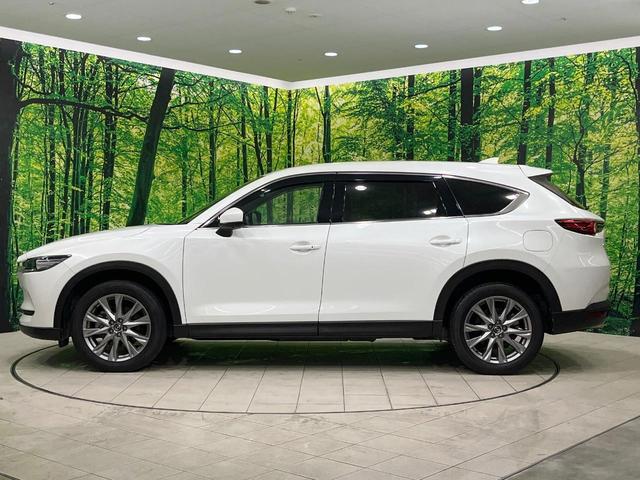 ＣＸ－８ ２５Ｓ　プロアクティブ　禁煙車　純正１０型ナビ　全周囲カメラ　レーダークルーズ　ブラインドスポットモニター　６人乗り　電動リアゲート　コーナーセンサー　メモリーシート　シートヒーター　ＬＥＤヘッド　ＥＴＣ（28枚目）