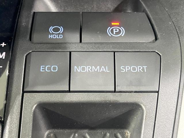 RAV4 X 禁煙車 純正ディスプレイオーディオ バックカメラ レーダークルーズ コーナーセンサー スマートキー LEDヘッド ルーフレール ビルトインETC オートハイビーム 車線逸脱警報 オートライト(44枚目)