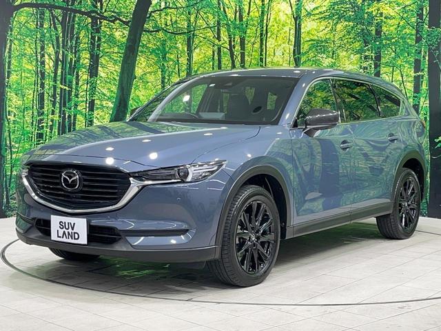 ＣＸ－８ ＸＤ　ブラックトーンエディション　禁煙車　純正１０型ナビ　全周囲カメラ　レーダークルーズ　電動リアゲート　ブラインドスポット　衝突被害軽減　ハーフレザーシート　コーナーセンサー　ＬＥＤヘッド　ＥＴＣ２．０　車線逸脱警報　オートライト（27枚目）