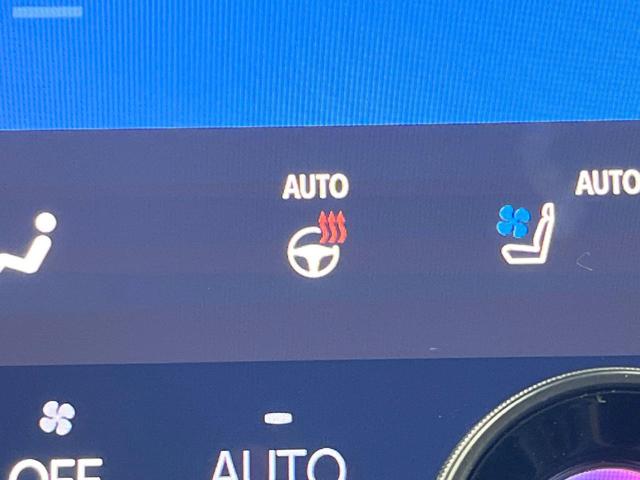 アルファードハイブリッド Z 禁煙車 ムーンルーフ 後席モニター 純正14型ナビ 全周囲カメラ ユニバーサルサイドステップ トヨタチームメイト デジタルインナーミラー シートベンチレーション 両側電動ドア 電動リアゲート ETC(57枚目)