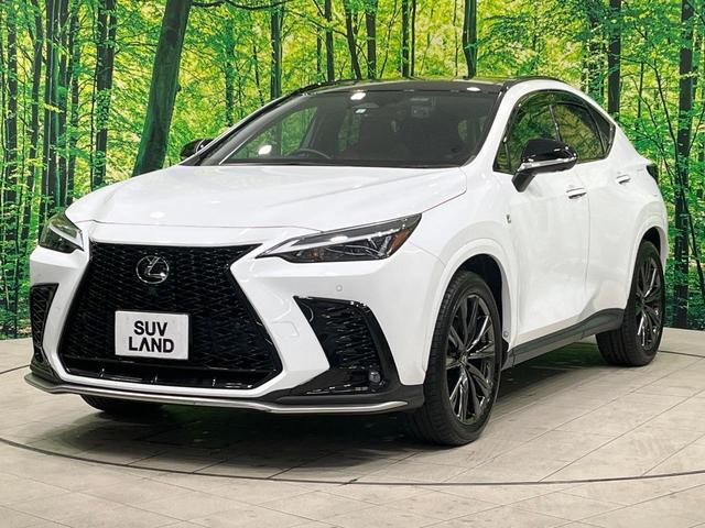 NX NX350h Fスポーツ 禁煙車 パノラマルーフ 純正14型ナビ 全周囲カメラ 赤革シート シートベンチレーション ステアリングヒーター ブラインドスポットモニター ヘッドアップディスプレイ 電動リアゲート(25枚目)