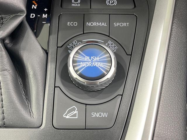 RAV4 アドベンチャー オフロードパッケージII 登録済未使用車 純正10型ナビ レーダークルーズ 前席シートエアコン バックカメラ 衝突被害軽減 メモリーシート コーナーセンサー スマートキー LEDヘッド ルーフレール ETC2.0(54枚目)