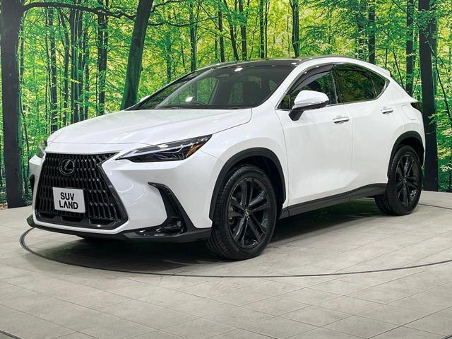 ＮＸ ＮＸ３５０ｈ　バージョンＬ　禁煙車　ガラスルーフ　純正１２型ナビ　全周囲カメラ　レーダークルーズ　衝突被害軽減　１００Ｖ電源　レザーシート　前席シートエアコン　コーナーセンサー　スマートキー　ＬＥＤヘッド　ルーフレール（23枚目）