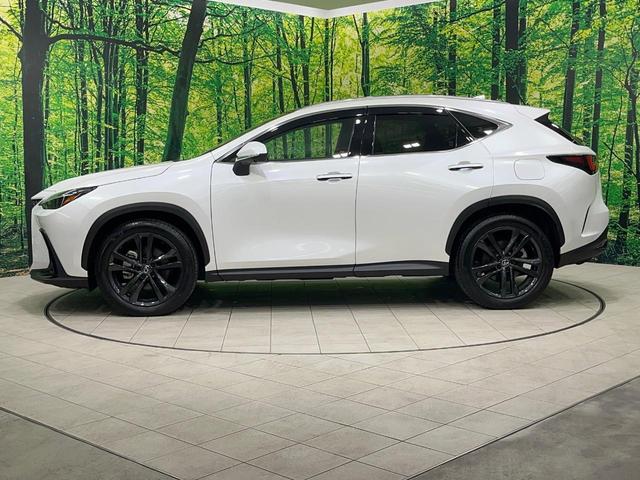 ＮＸ ＮＸ３５０ｈ　バージョンＬ　禁煙車　ガラスルーフ　純正１２型ナビ　全周囲カメラ　レーダークルーズ　衝突被害軽減　１００Ｖ電源　レザーシート　前席シートエアコン　コーナーセンサー　スマートキー　ＬＥＤヘッド　ルーフレール（24枚目）