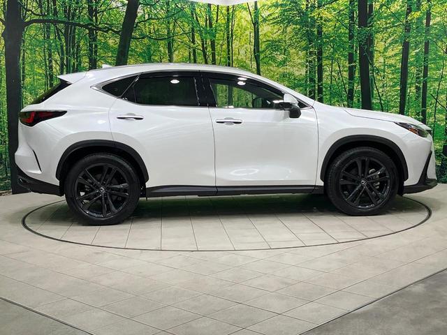 ＮＸ ＮＸ３５０ｈ　バージョンＬ　禁煙車　ガラスルーフ　純正１２型ナビ　全周囲カメラ　レーダークルーズ　衝突被害軽減　１００Ｖ電源　レザーシート　前席シートエアコン　コーナーセンサー　スマートキー　ＬＥＤヘッド　ルーフレール（26枚目）