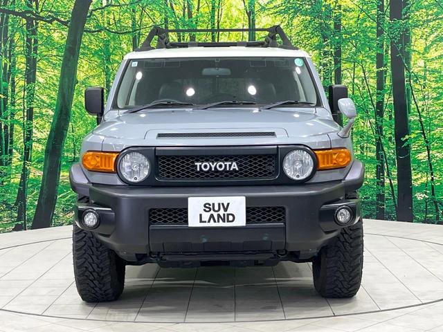 FJクルーザー オフロードパッケージ 禁煙車 純正ナビ フルセグ バックカメラ コーナーセンサー 17インチアルミ フォグランプ ルーフキャリア ETC Bluetooth CD DVD再生(14枚目)