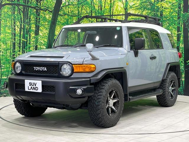FJクルーザー オフロードパッケージ 禁煙車 純正ナビ フルセグ バックカメラ コーナーセンサー 17インチアルミ フォグランプ ルーフキャリア ETC Bluetooth CD DVD再生(24枚目)