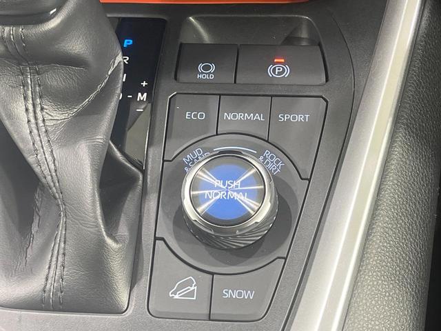 ＲＡＶ４ アドベンチャー　禁煙車　純正９インチディスプレイオーディオ　全周囲カメラ　衝突被害軽減　合皮シート　シートエアコン　パワーシート　コーナーセンサー　ＬＥＤヘッド　ルーフレール　ＥＴＣ　純正１９インチアルミ（48枚目）