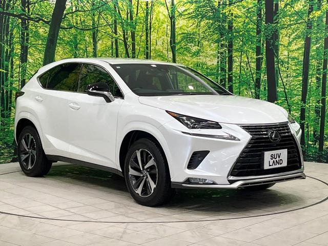 NX NX300 スパイス&シック 禁煙車 10型ナビ 全周囲カメラ フルセグ 黒革 レーダークルーズ ブラインドスポットモニター 電動リアゲート 3眼LEDライト シートベンチレーション メモリーシート ETC 純正AW(17枚目)