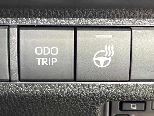 ＲＡＶ４ アドベンチャー　禁煙車　純正１０型ナビ　全周囲カメラ　フルセグ　ブラインドスポットモニター　レーダークルーズ　デジタルインナーミラー　車線逸脱警報　ＬＥＤヘッド＆フォグ　コーナーセンサー　シートヒーター　ＥＴＣ２．０（43枚目）