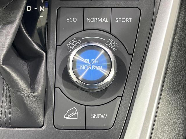 ＲＡＶ４ アドベンチャー　禁煙車　純正１０型ナビ　全周囲カメラ　フルセグ　ブラインドスポットモニター　レーダークルーズ　デジタルインナーミラー　車線逸脱警報　ＬＥＤヘッド＆フォグ　コーナーセンサー　シートヒーター　ＥＴＣ２．０（55枚目）