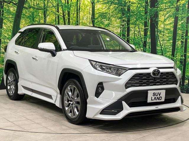 ＲＡＶ４ Ｇ　Ｚパッケージ　禁煙車　ＴＲＤフルエアロ　純正１０型ナビ　全周囲カメラ　デジタルインナーミラー　電動リアゲート　レーダークルーズ　ブラインドスポットモニター　前席シートエアコン　パワーシート　ＨＤＭＩ　純正１９ＡＷ（16枚目）