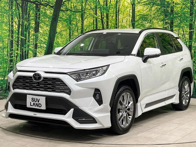 ＲＡＶ４ Ｇ　Ｚパッケージ　禁煙車　ＴＲＤフルエアロ　純正１０型ナビ　全周囲カメラ　デジタルインナーミラー　電動リアゲート　レーダークルーズ　ブラインドスポットモニター　前席シートエアコン　パワーシート　ＨＤＭＩ　純正１９ＡＷ（68枚目）