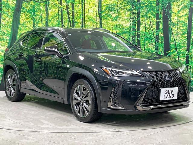 ＵＸ ＵＸ２５０ｈ　Ｆスポーツ　禁煙車　サンルーフ　純正１０型ナビ　フルセグ　バックカメラ　ブラインドスポットモニター　セーフティセンス　クリアランスソナー　赤革シート　パワーシート　シートヒーター　電動リアゲート　ＥＴＣ（16枚目）