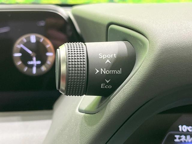 ＵＸ ＵＸ２５０ｈ　Ｆスポーツ　禁煙車　サンルーフ　純正１０型ナビ　フルセグ　バックカメラ　ブラインドスポットモニター　セーフティセンス　クリアランスソナー　赤革シート　パワーシート　シートヒーター　電動リアゲート　ＥＴＣ（56枚目）