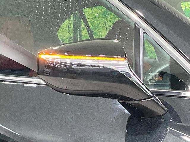 ＵＸ ＵＸ２５０ｈ　Ｆスポーツ　禁煙車　サンルーフ　純正１０型ナビ　フルセグ　バックカメラ　ブラインドスポットモニター　セーフティセンス　クリアランスソナー　赤革シート　パワーシート　シートヒーター　電動リアゲート　ＥＴＣ（62枚目）