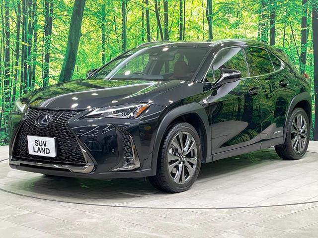 ＵＸ ＵＸ２５０ｈ　Ｆスポーツ　禁煙車　サンルーフ　純正１０型ナビ　フルセグ　バックカメラ　ブラインドスポットモニター　セーフティセンス　クリアランスソナー　赤革シート　パワーシート　シートヒーター　電動リアゲート　ＥＴＣ（65枚目）