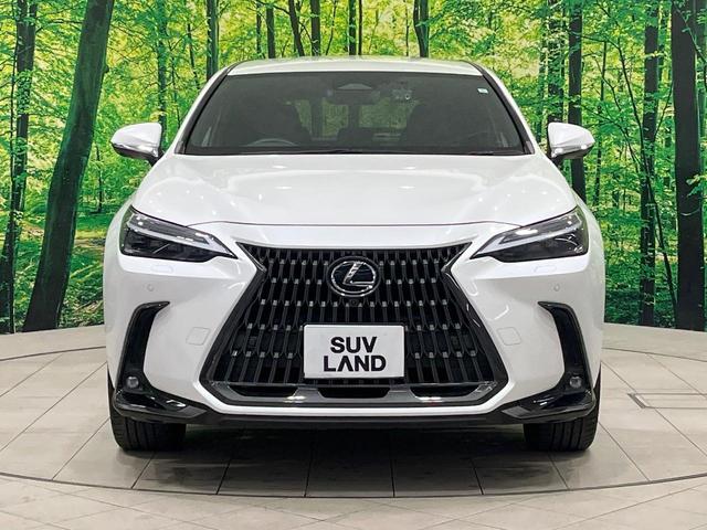 ＮＸ ＮＸ２５０　バージョンＬ　禁煙車　純正１４型ナビ　全周囲カメラ　フルセグ　黒革　３眼ＬＥＤ　電動リアゲート　レーダークルーズ　ブラインドスポットモニター　ヘッドアップディスプレイ　全席シートヒーター　シートメモリー　純正ＡＷ（15枚目）