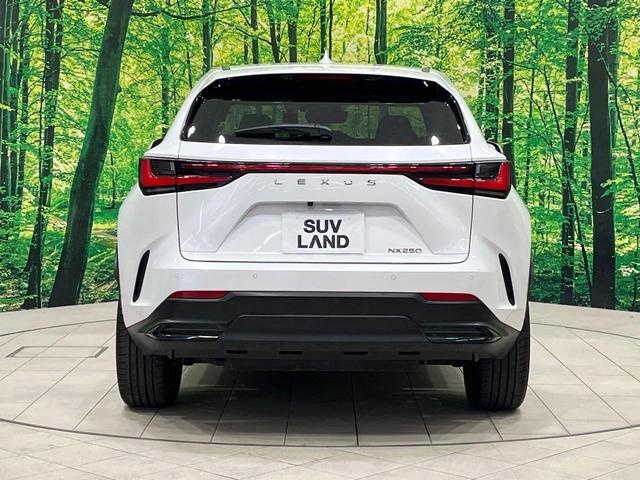 ＮＸ ＮＸ２５０　バージョンＬ　禁煙車　純正１４型ナビ　全周囲カメラ　フルセグ　黒革　３眼ＬＥＤ　電動リアゲート　レーダークルーズ　ブラインドスポットモニター　ヘッドアップディスプレイ　全席シートヒーター　シートメモリー　純正ＡＷ（16枚目）