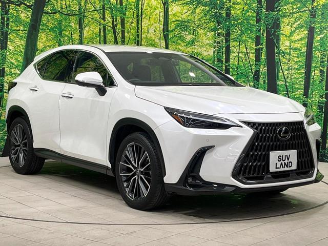 ＮＸ ＮＸ２５０　バージョンＬ　禁煙車　純正１４型ナビ　全周囲カメラ　フルセグ　黒革　３眼ＬＥＤ　電動リアゲート　レーダークルーズ　ブラインドスポットモニター　ヘッドアップディスプレイ　全席シートヒーター　シートメモリー　純正ＡＷ（17枚目）