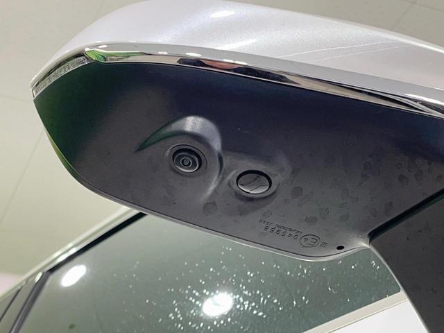 ＮＸ ＮＸ２５０　バージョンＬ　禁煙車　純正１４型ナビ　全周囲カメラ　フルセグ　黒革　３眼ＬＥＤ　電動リアゲート　レーダークルーズ　ブラインドスポットモニター　ヘッドアップディスプレイ　全席シートヒーター　シートメモリー　純正ＡＷ（63枚目）