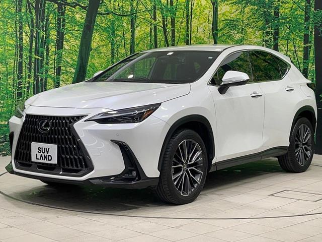 ＮＸ ＮＸ２５０　バージョンＬ　禁煙車　純正１４型ナビ　全周囲カメラ　フルセグ　黒革　３眼ＬＥＤ　電動リアゲート　レーダークルーズ　ブラインドスポットモニター　ヘッドアップディスプレイ　全席シートヒーター　シートメモリー　純正ＡＷ（64枚目）