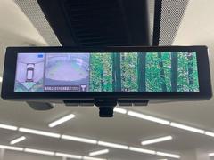 �ڥ���ƥꥸ����ȥ롼��ߥ顼�۸��ʤ��礭�ʲ�ʪ��Ʊ��ԤǸ�������ǧ���Ť餤���Ǥ�¿�������餬���Ƥ�����ξ�����α�����롼��ߥ顼���ɽ�������ꥢ�ʻ볦�Ǿ����γ�ǧ����ǽ�Ǥ��� 5